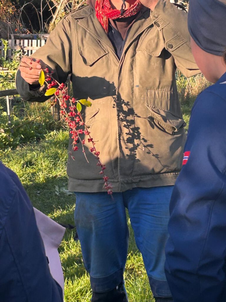 WhatsApp Image 2026-02-02 at 13.03.29