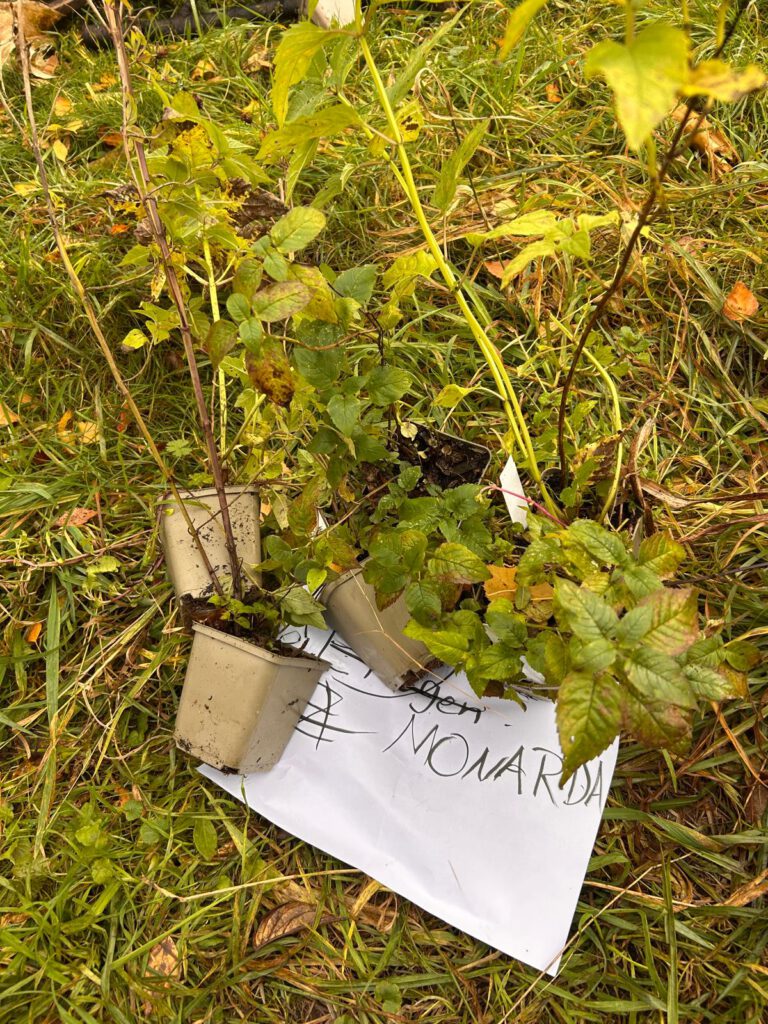 WhatsApp Image 2026-02-02 at 13.03.30 (1)