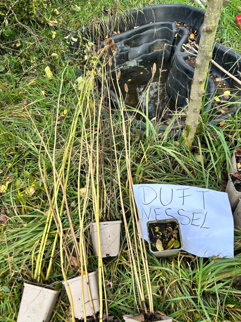 WhatsApp Image 2026-02-02 at 13.03.30 (2)