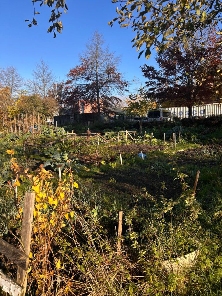 WhatsApp Image 2026-02-02 at 13.03.30 (3)