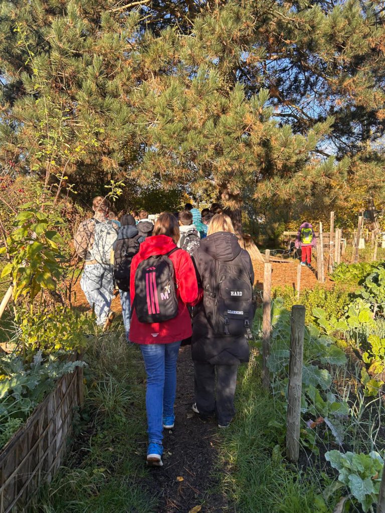 WhatsApp Image 2026-02-02 at 13.03.30 (4)