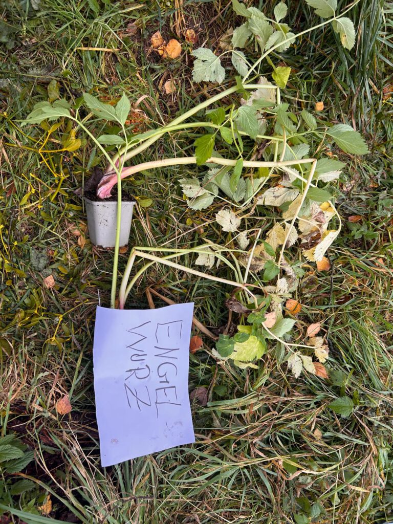 WhatsApp Image 2026-02-02 at 13.03.30 (6)