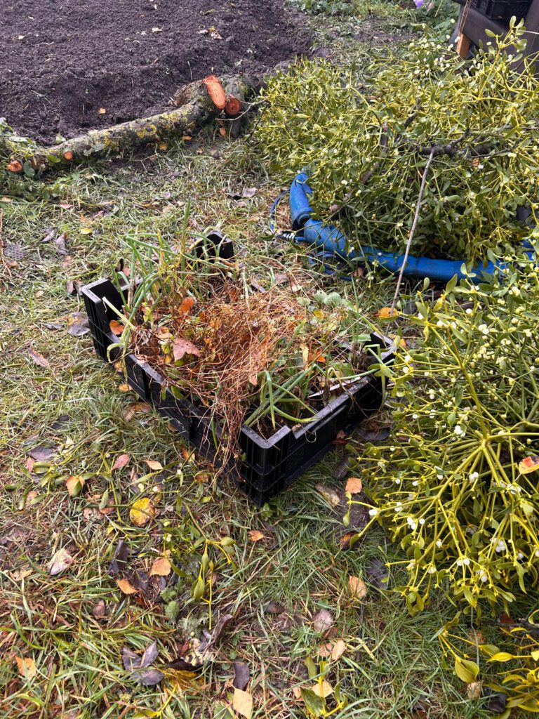 WhatsApp Image 2026-02-02 at 13.03.30