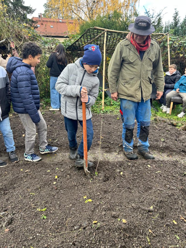 WhatsApp Image 2026-02-02 at 13.03.31 (4)