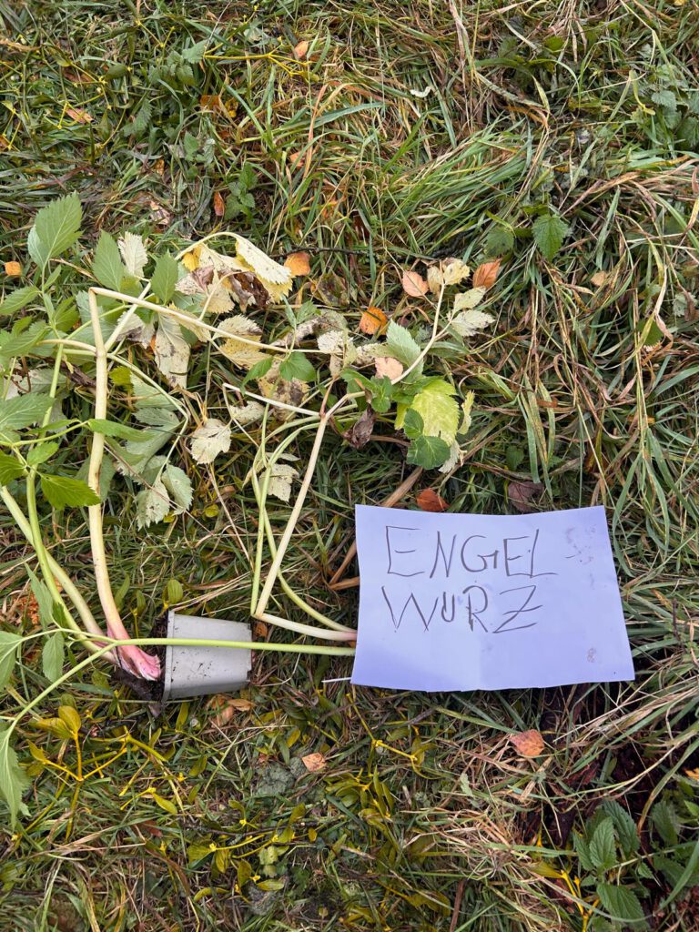 WhatsApp Image 2026-02-02 at 13.03.31